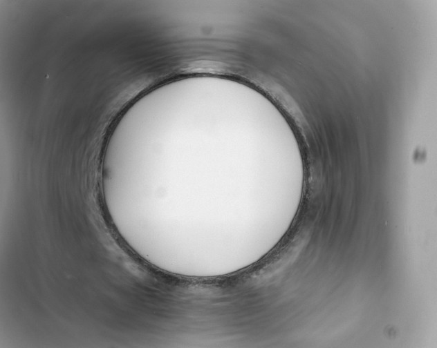 X0000103290529200809191832