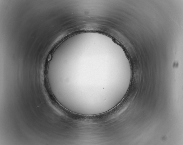 X0000103290530200809191832