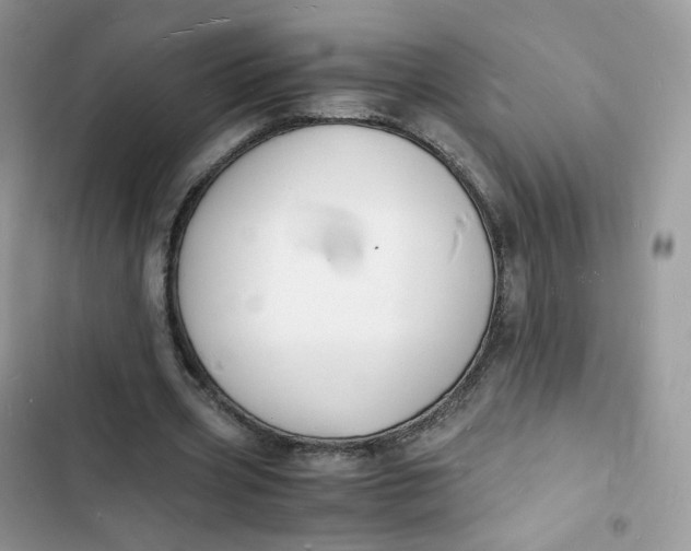 X0000103290533200809191832