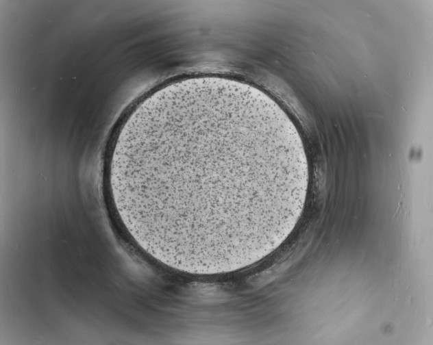 X0000103290534200809191832