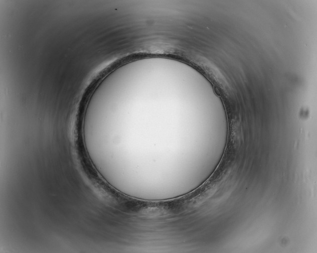 X0000103290536200809191833