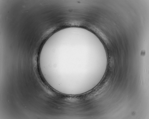 X0000103290537200809191833