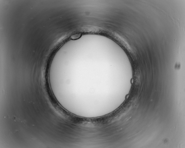 X0000103290538200809191833