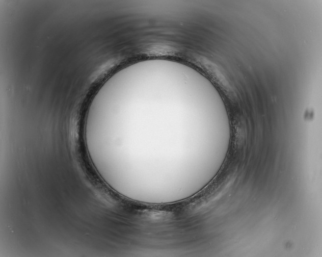 X0000103290539200809191833