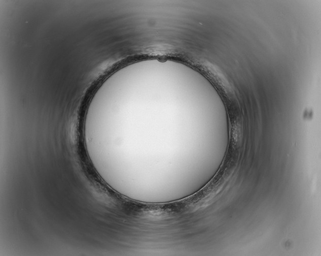 X0000103290540200809191833