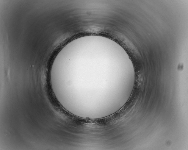 X0000103290544200809191833