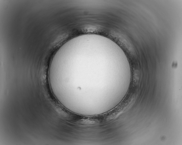 X0000103290545200809191833