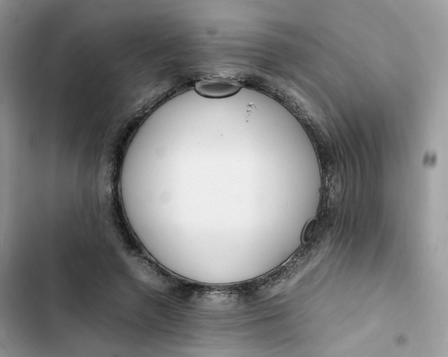 X0000103290546200809191833