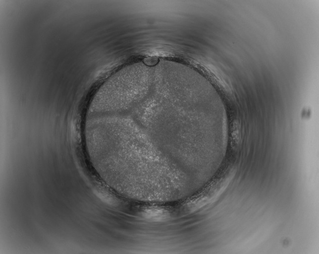 X0000103290547200809191833