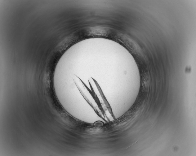 X0000103290551200809191833