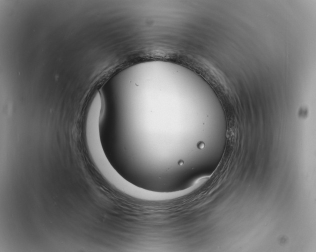 X0000103290552200809191833