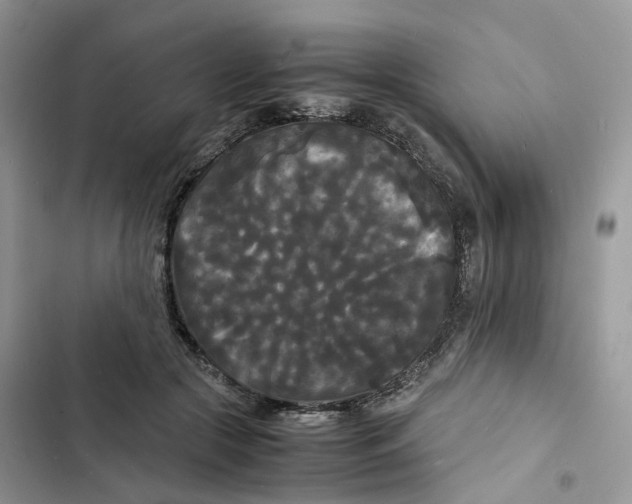 X0000103290553200809191833