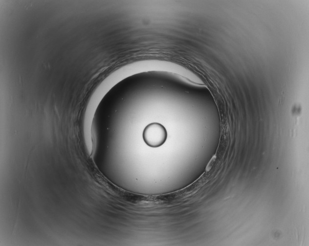 X0000103290556200809191833