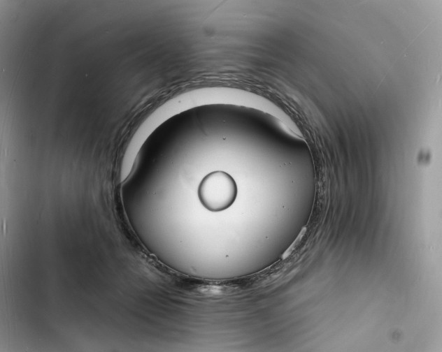 X0000103290558200809191833