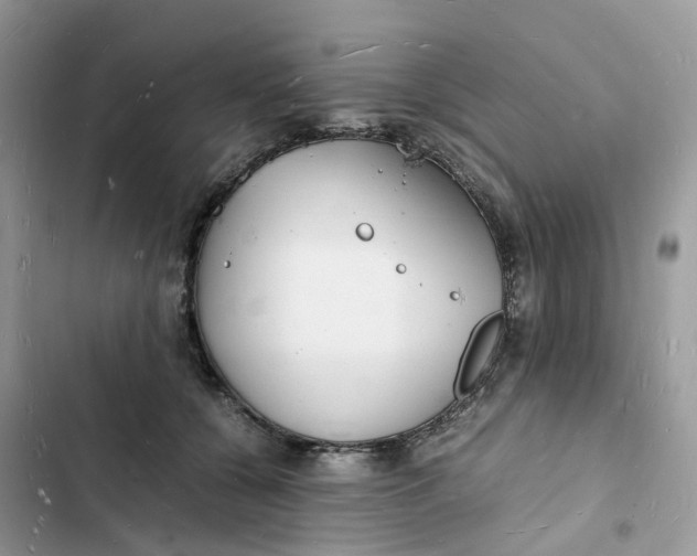 X0000103290560200809191833