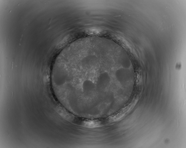 X0000103290561200809191833