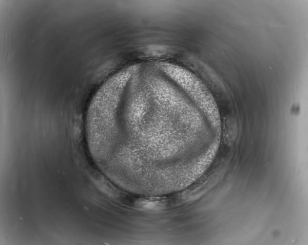 X0000103290563200809191833