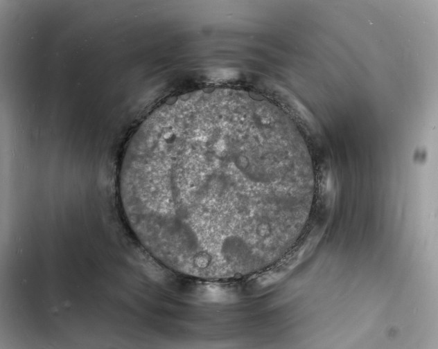 X0000103290565200809191833