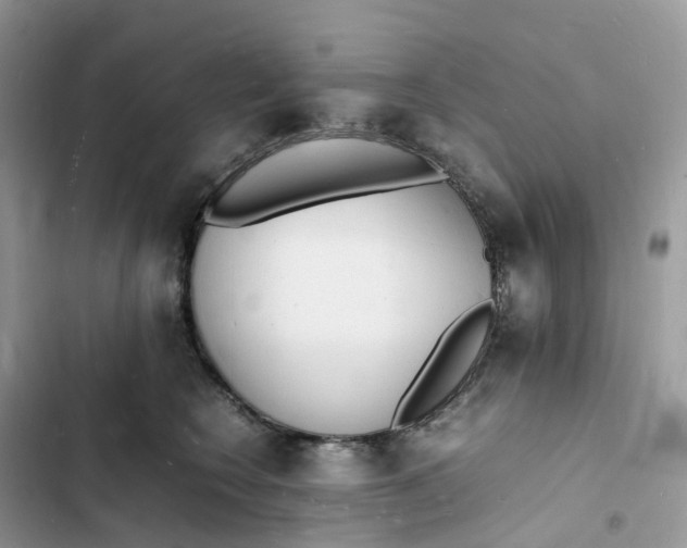 X0000103290566200809191833