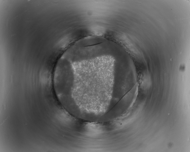 X0000103290568200809191833