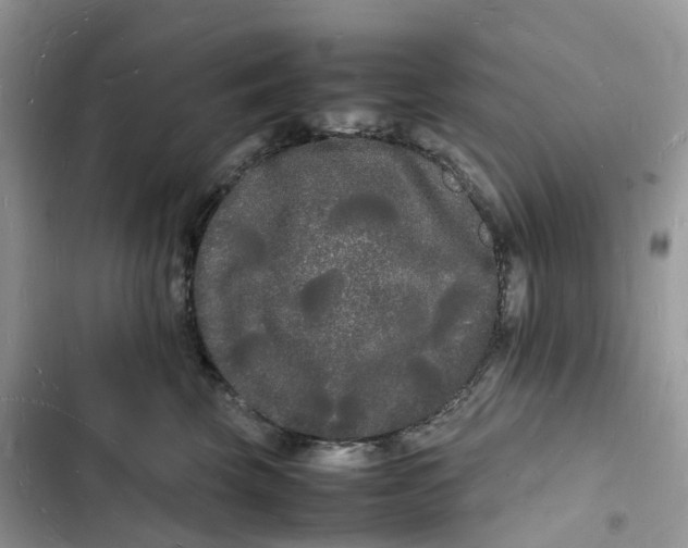 X0000103290569200809191833