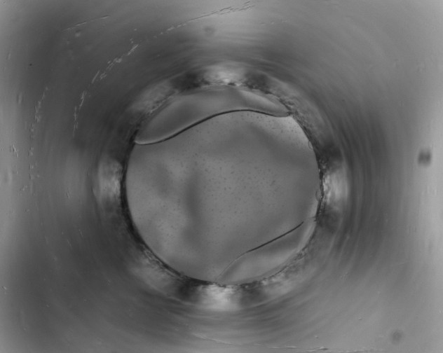 X0000103290570200809191833