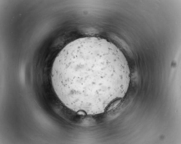 X0000103290572200809191833