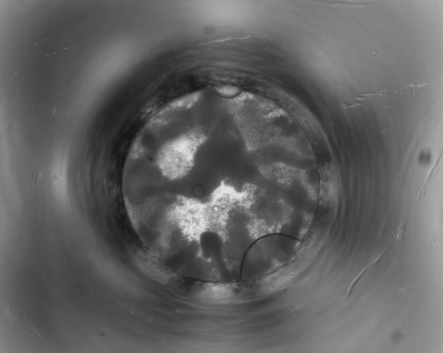 X0000103290573200809191833