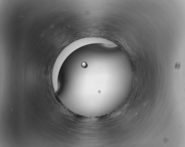 X0000103290576200809191833