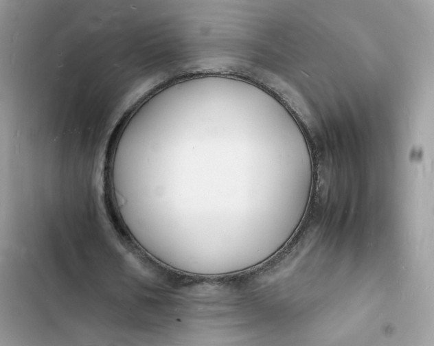 X0000103290578200809191832