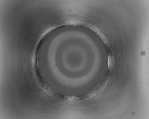 X0000103290579200809191832