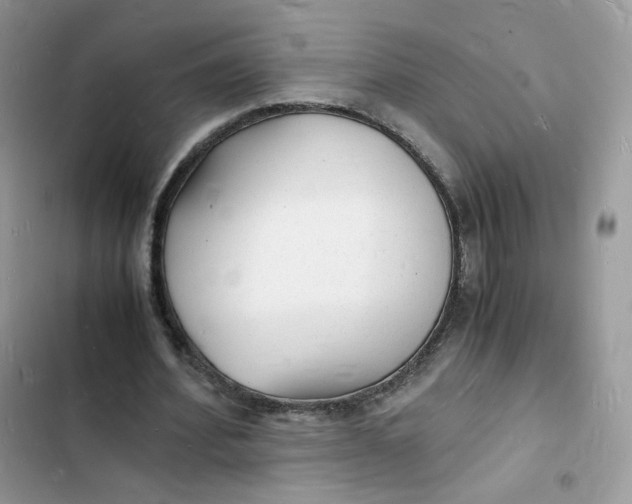 X0000103290580200809191832