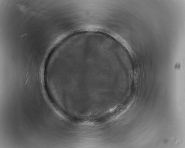 X0000103290581200809191832