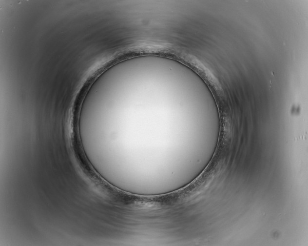 X0000103290582200809191832