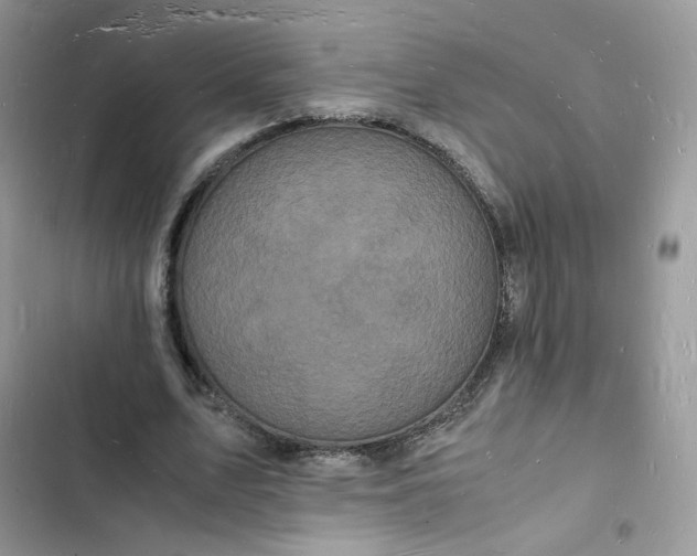 X0000103290583200809191832