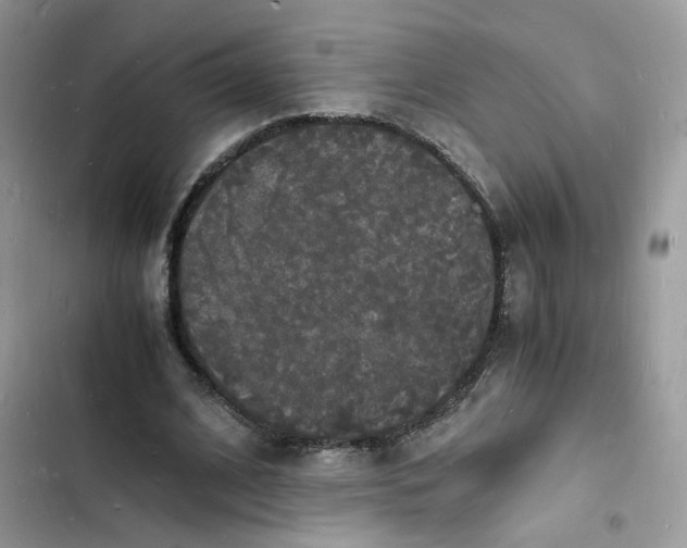 X0000103290584200809191832