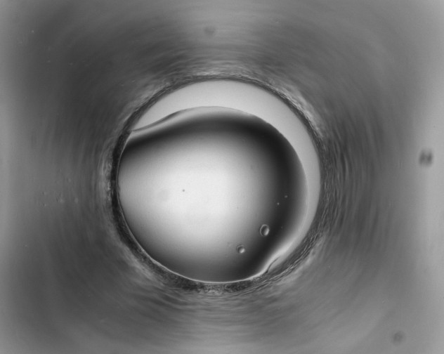 X0000103290585200809191832