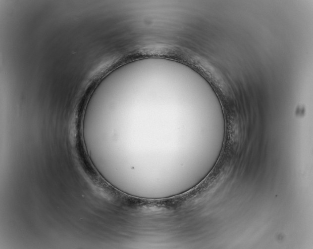 X0000103290586200809191832