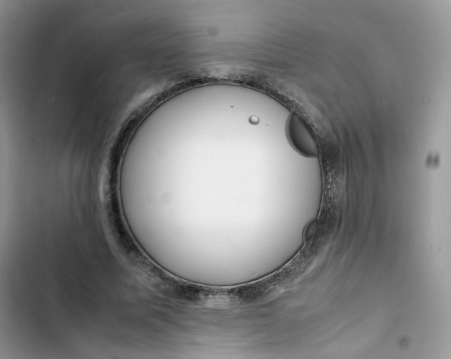 X0000103290587200809191832