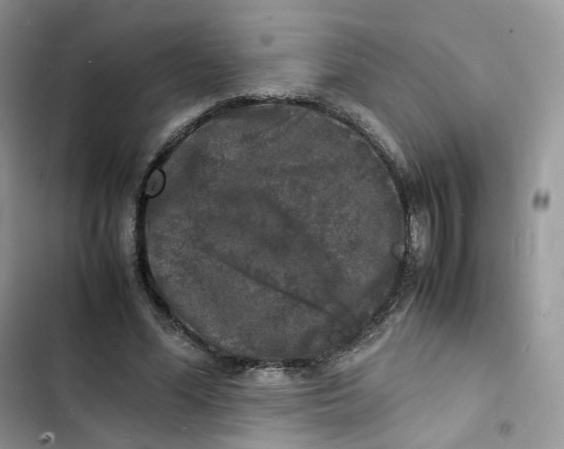 X0000103290588200809191832