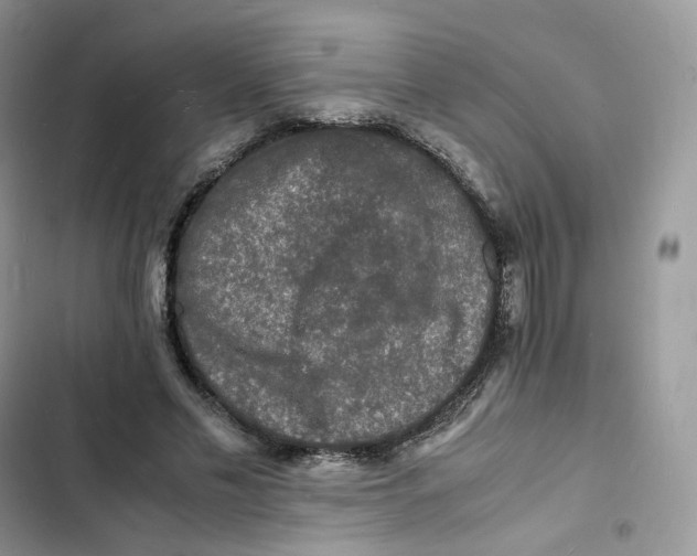 X0000103290589200809191832