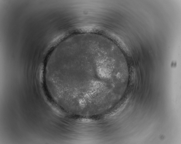 X0000103290590200809191832