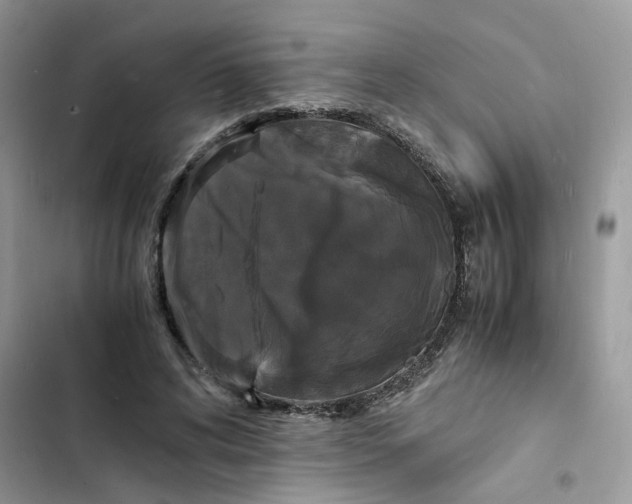 X0000103290592200809191832