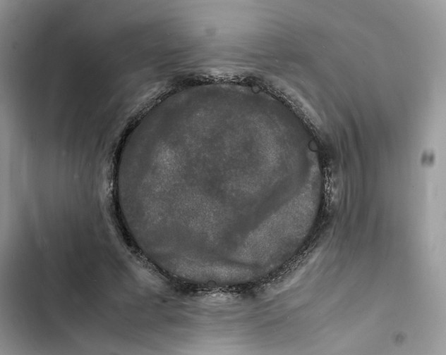 X0000103290593200809191832