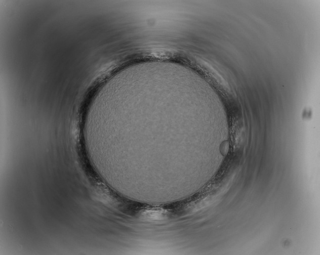 X0000103290595200809191832