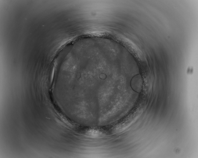 X0000103290596200809191832