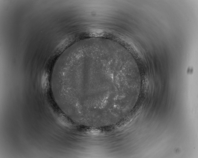 X0000103290598200809191832