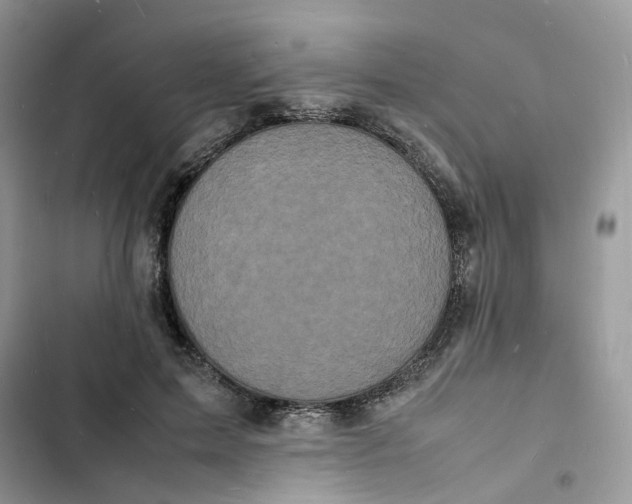 X0000103290599200809191832