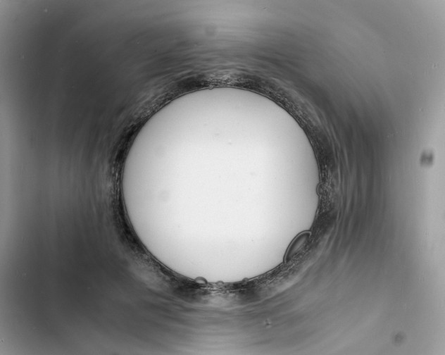 X0000103290601200809191832