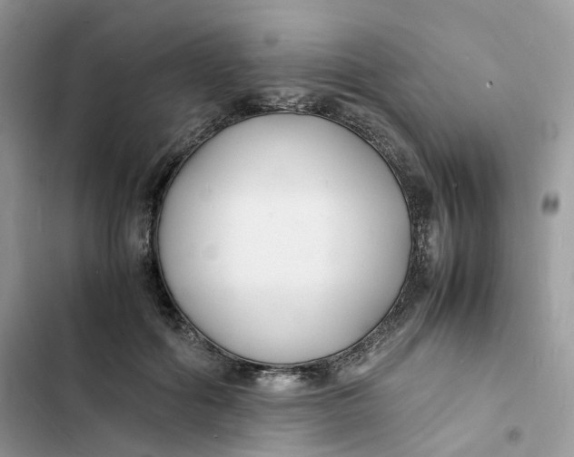 X0000103290602200809191832